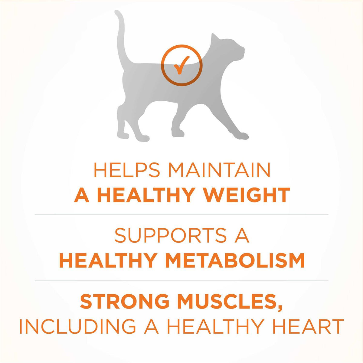 Dry Cat Food D274753