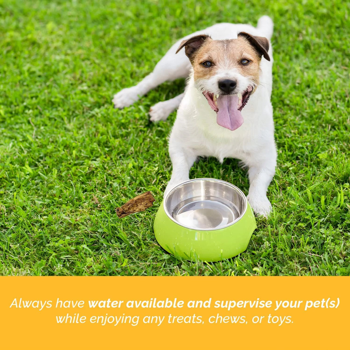 12 Inch Bully Stick for Dogs 1 Pound Bag Natural Beef Dental Chews T3905