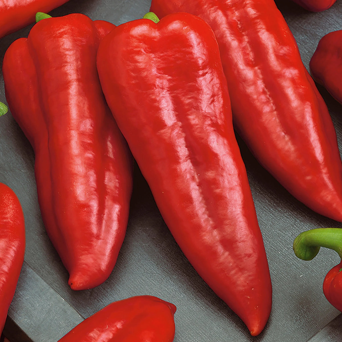 Organic Sweet Red Marconi Pepper Seeds, 1 Seed Packet J797