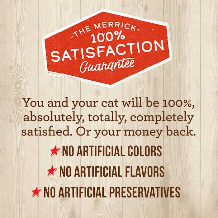 Dry Cat Food T328672