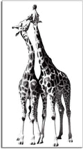 Black and White Giraffe Canvas Prints Gallery Wrapped Painting 20 x 36 Inch R955635