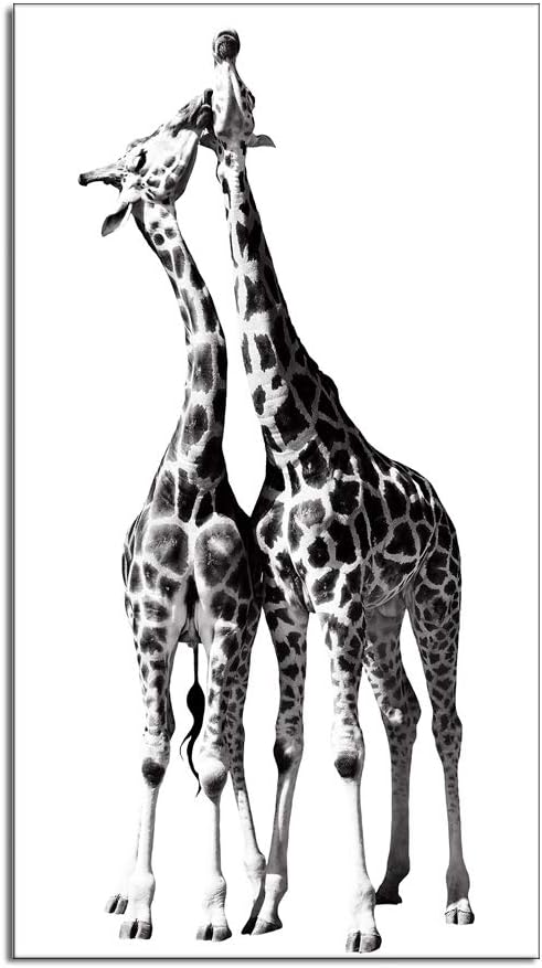 Black and White Giraffe Canvas Prints Gallery Wrapped Painting 20 x 36 Inch R955635