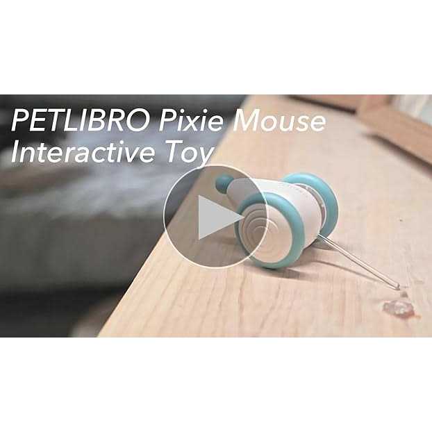 Interactive Cat Toys with LED Lights E478844