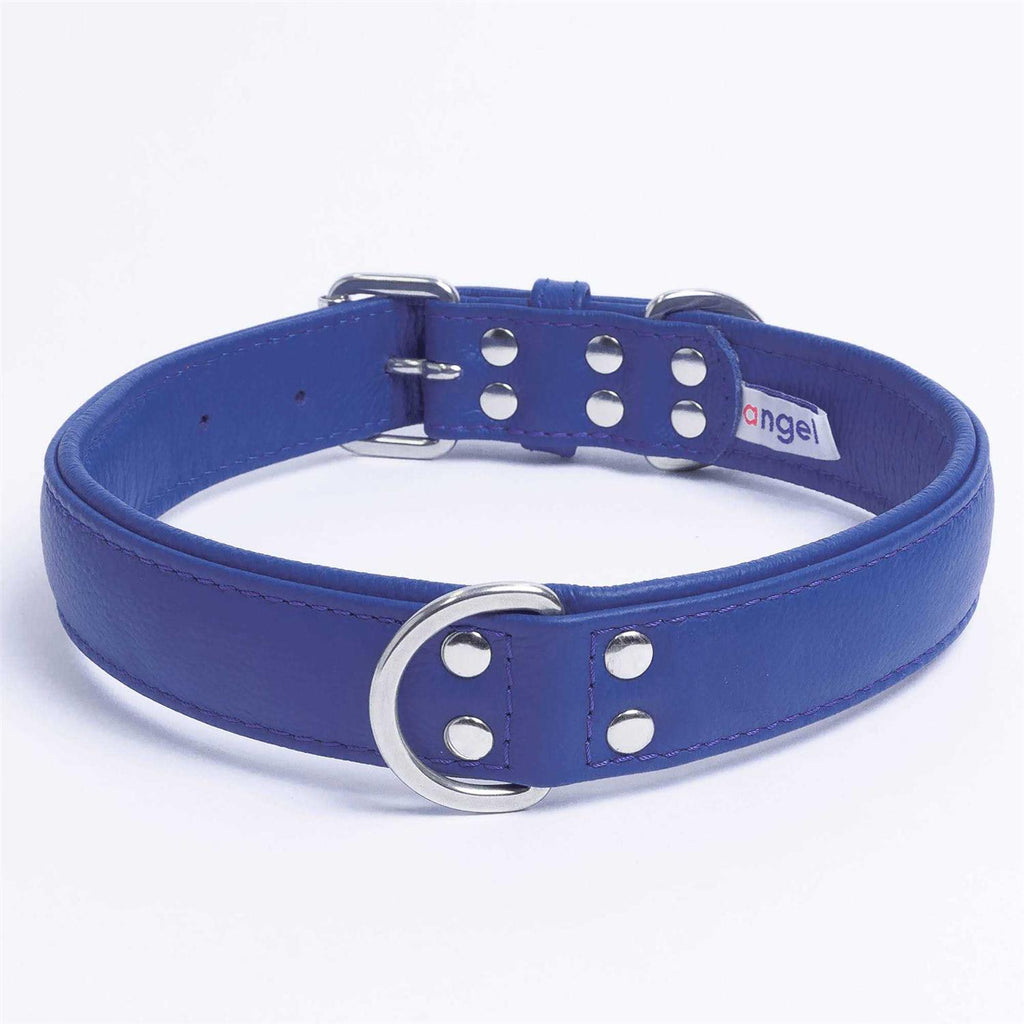 Dog Collar E867