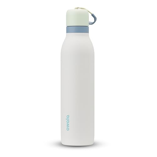 24-oz Insulated Stainless Steel Water Bottle with Straw O816