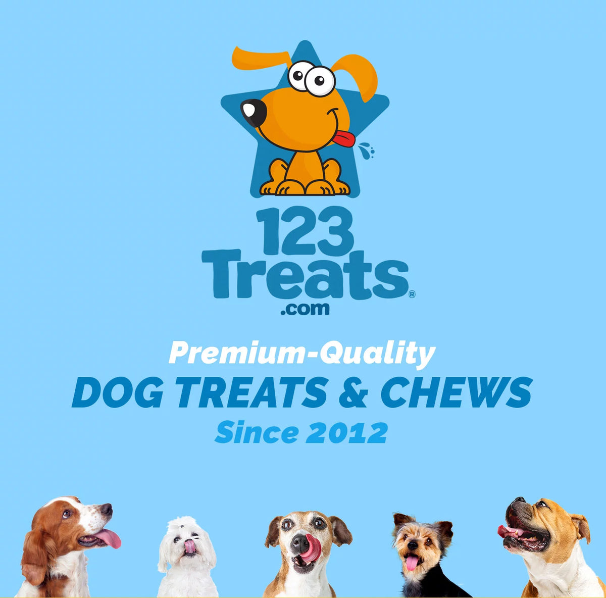 12 Inch Bully Stick for Dogs 1 Pound Bag Natural Beef Dental Chews T3905