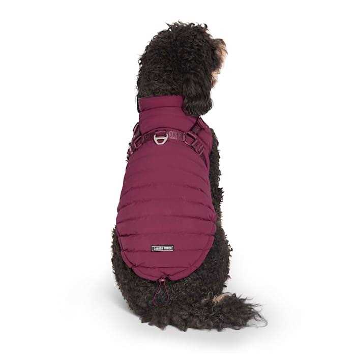 Black Puffer Harness L530491