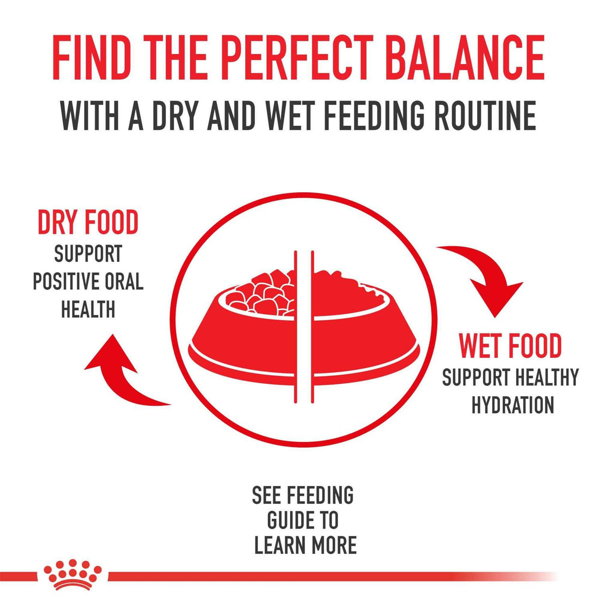 Thin Slices in Gravy Wet Cat Food E747036