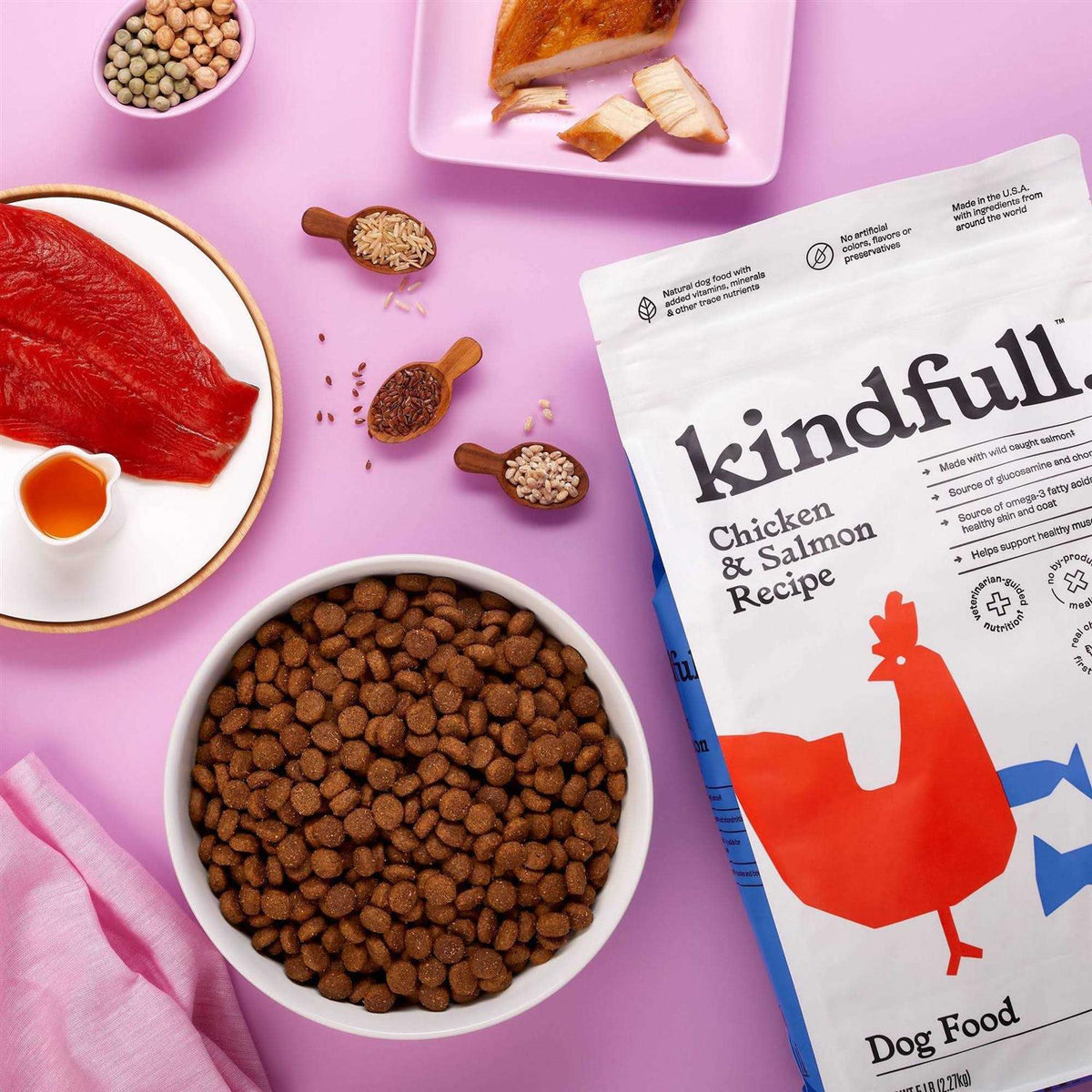 Chicken and Salmon Recipe Dry Dog Food V773910