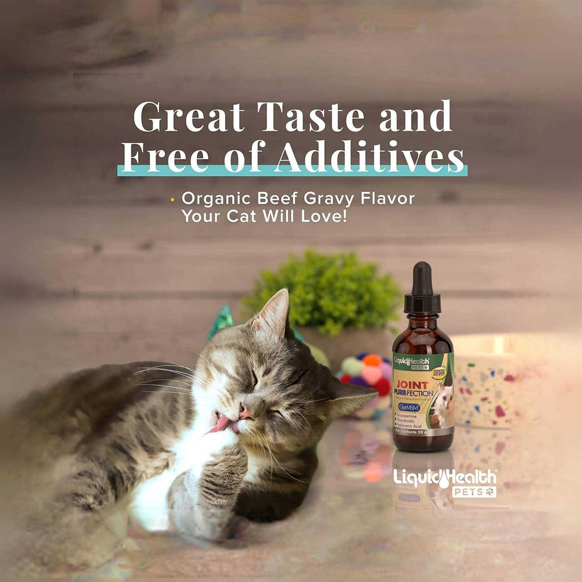Pet Supplies F309
