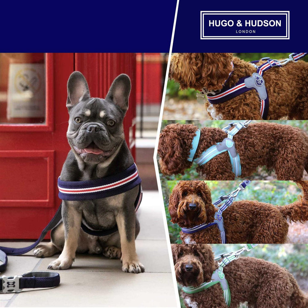 Dog Harness A115276
