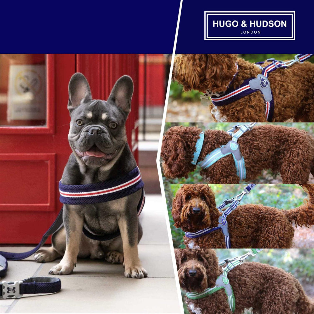 Dog Harness A115276