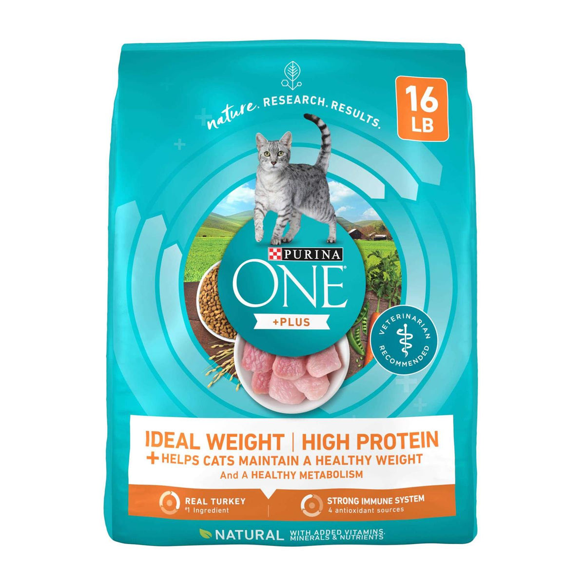 Dry Cat Food D274753