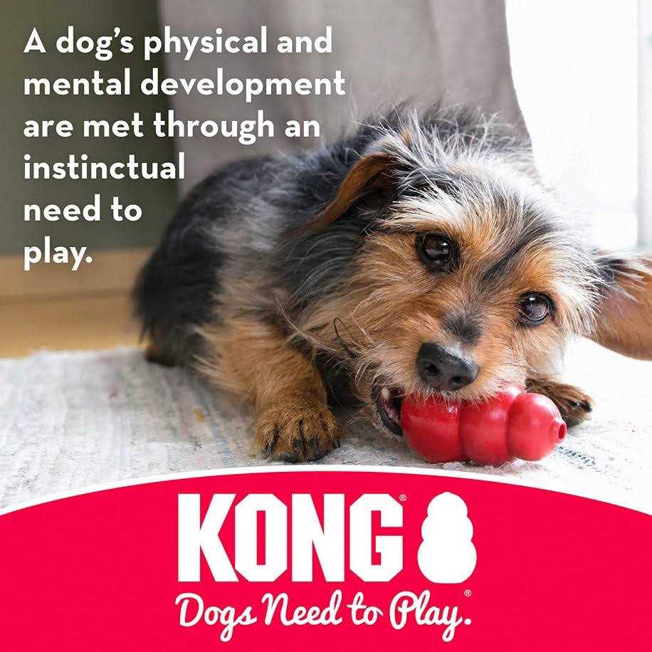 Dog Toy G405