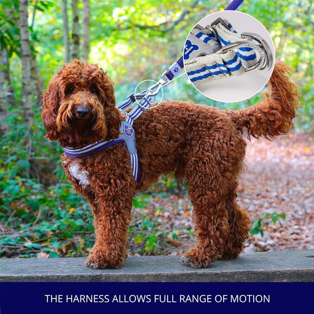 Dog Harness A115276