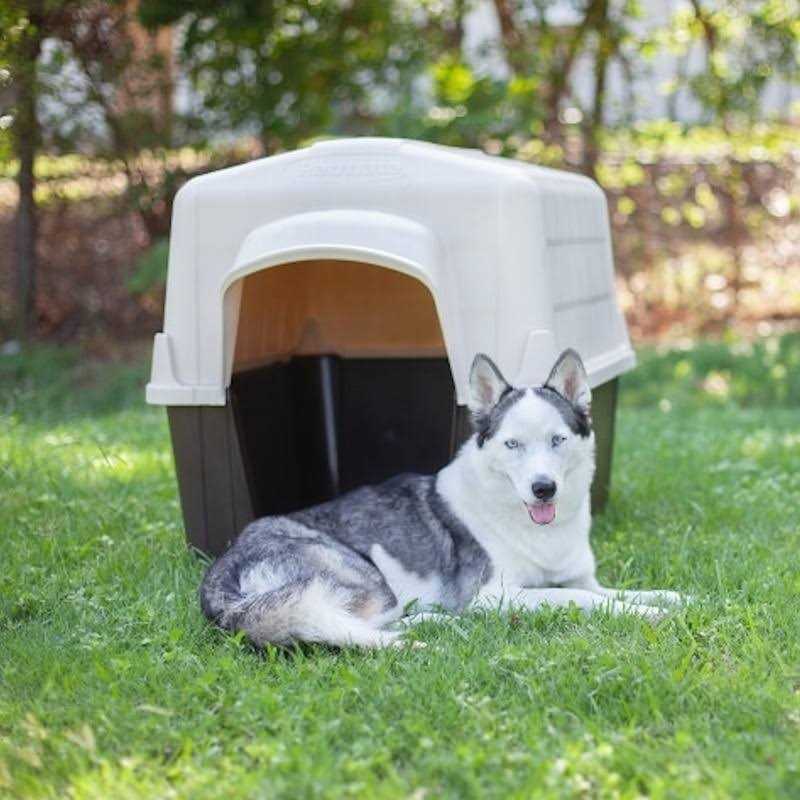 Pet Supplies C397965