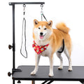 Dog Grooming Table Arm with Clamp and Post O5002