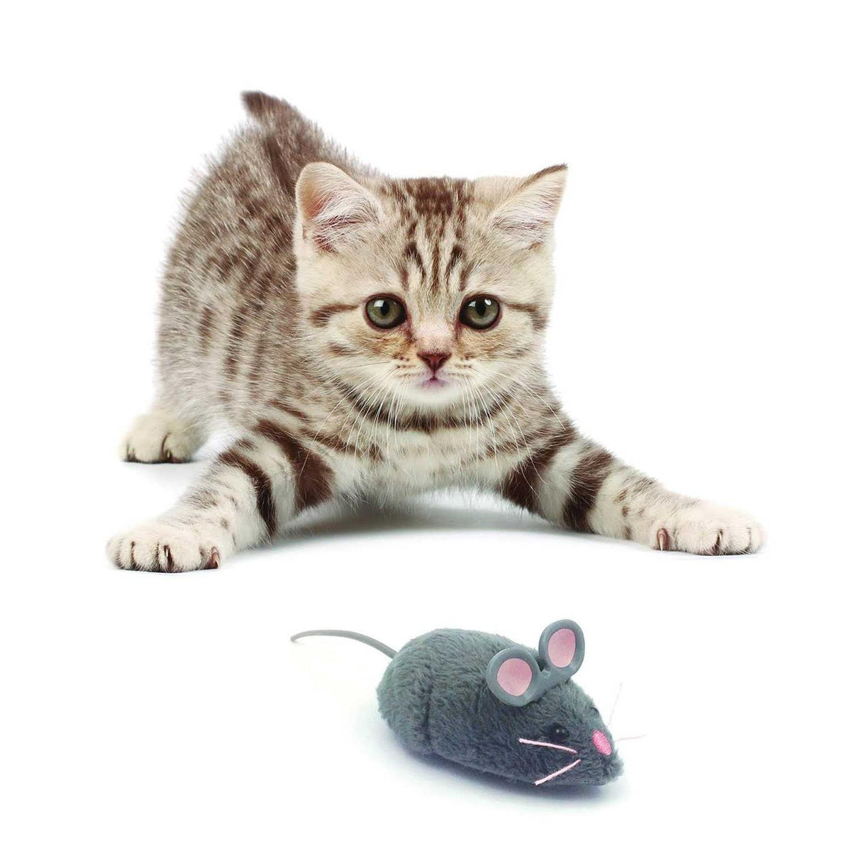 Robotic Cat Toy V60540