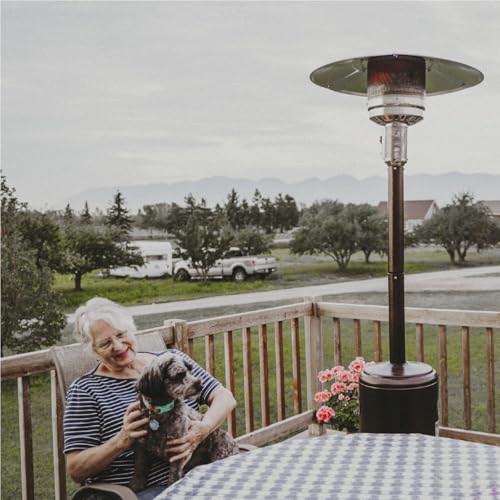 50,000 BTU Propane Outdoor Patio Heater with Wheels D470