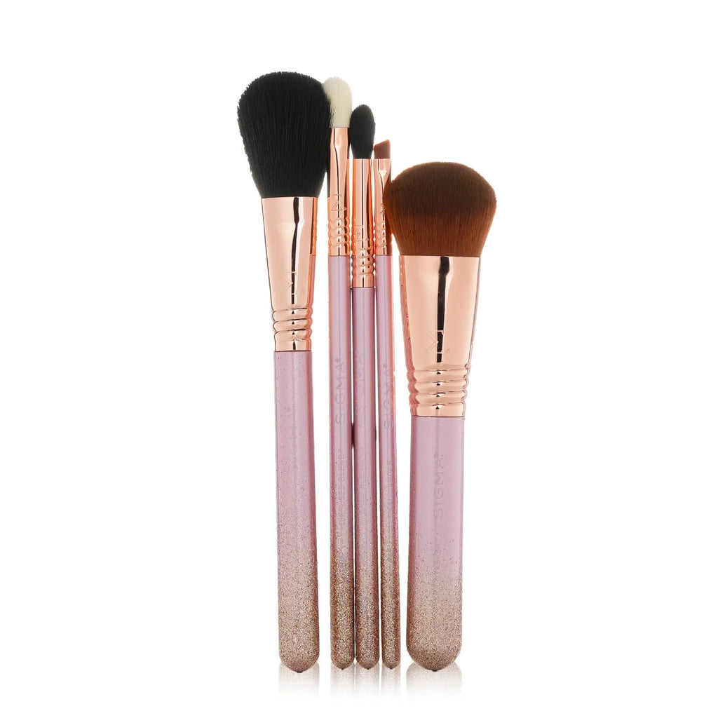 5pcs Brush Set E1250