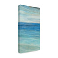 Canvas Art 24x47 Z6600
