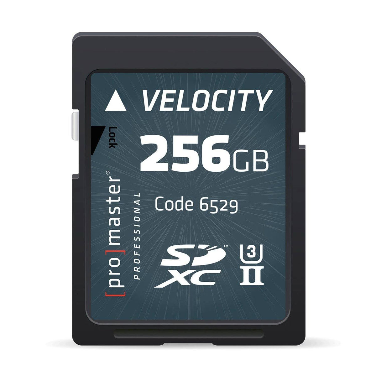 256GB SDXC K218058