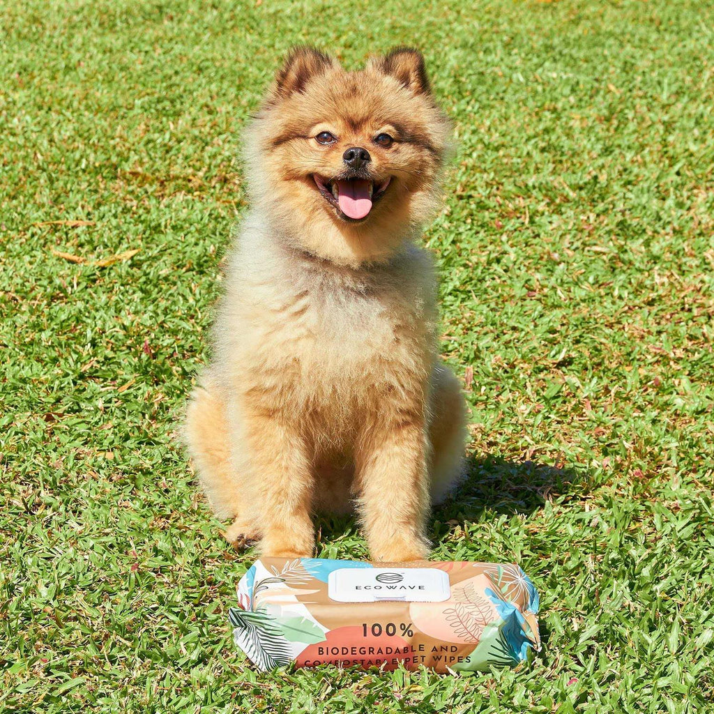 Biodegradable Compostable Dog & Cat Cleansing Wipes O937347