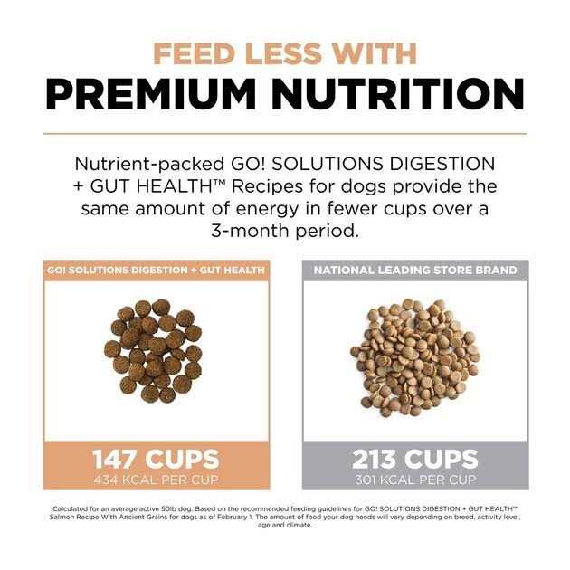 Salmon Recipe with Ancient Grains Dog Food U3088