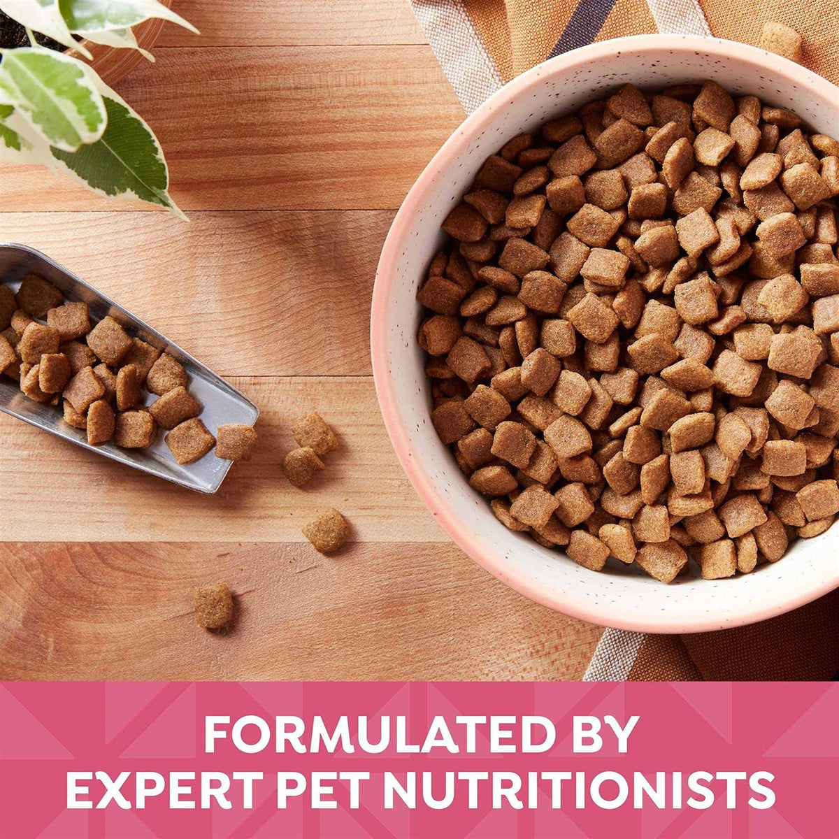 Grain Free Salmon Sweet Potato & Pumpkin Dry Dog Food I2847