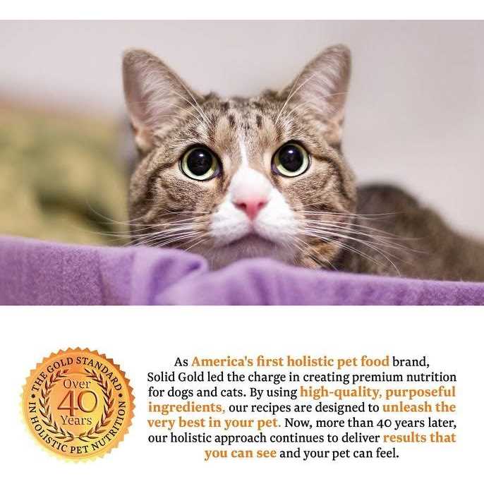 Solid Gold Triple Layer Pate Mousse & Shreds Pumpkin Cat Food N927096