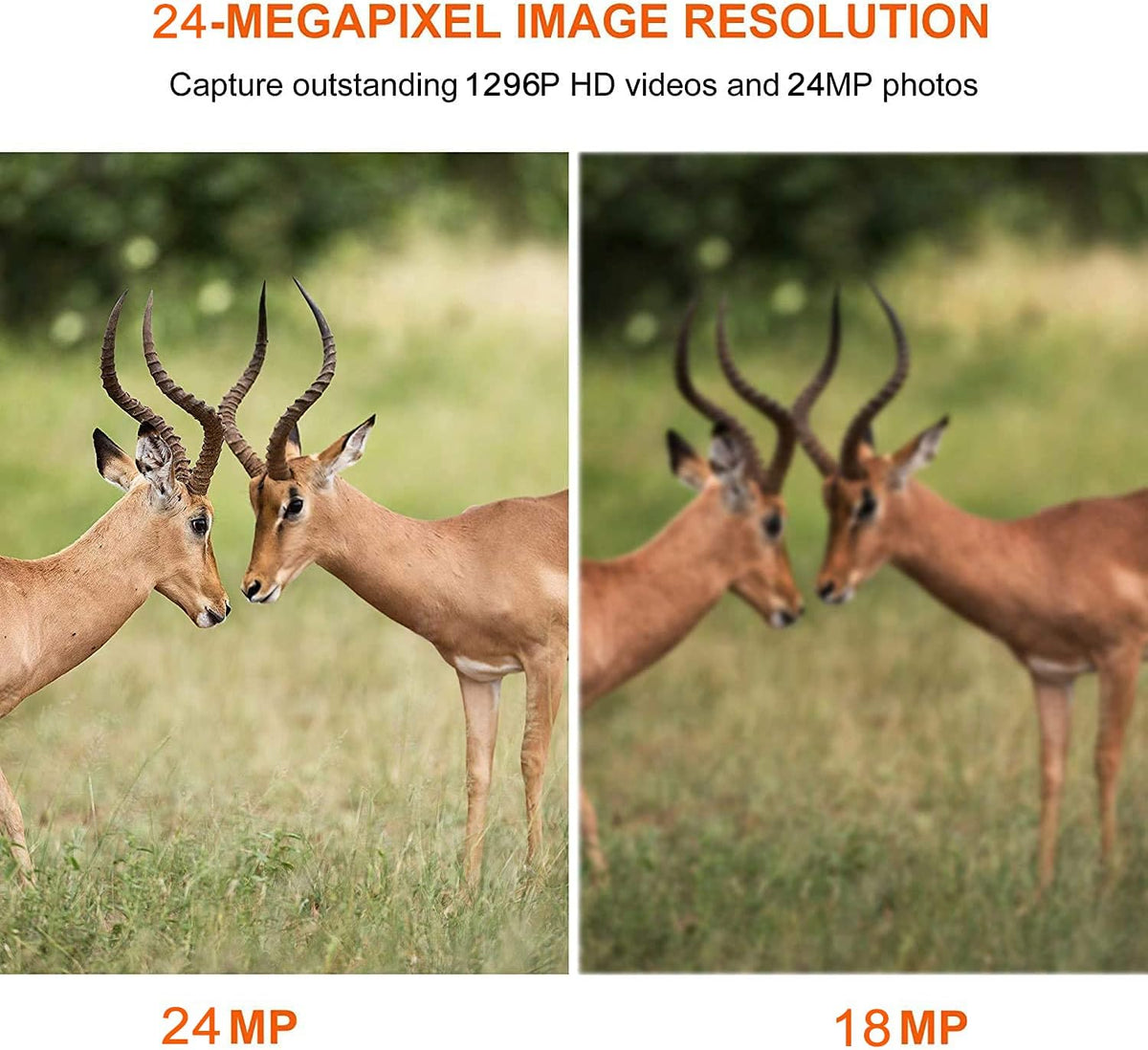 2-Pack Night Vision Trail Cameras 24MP 1296P IP66 Waterproof N979374