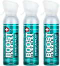 5 Liter Eucalyptus Oxygen Canister 3-Pack D9875