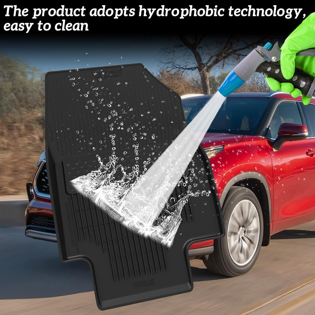Front Rear Floor Mats C266
