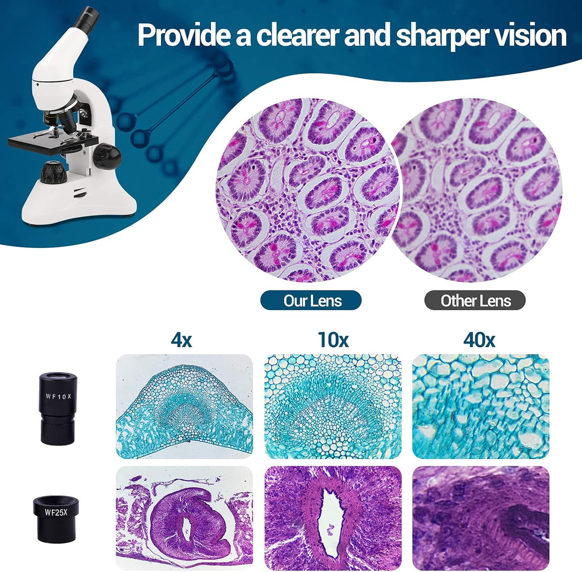 40X-2000X Compound Microscope with LED Light V327761