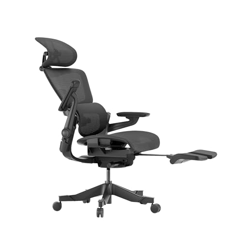 Ergonomic Mesh Office Chair with Footrest (Gray, Medium) B608827