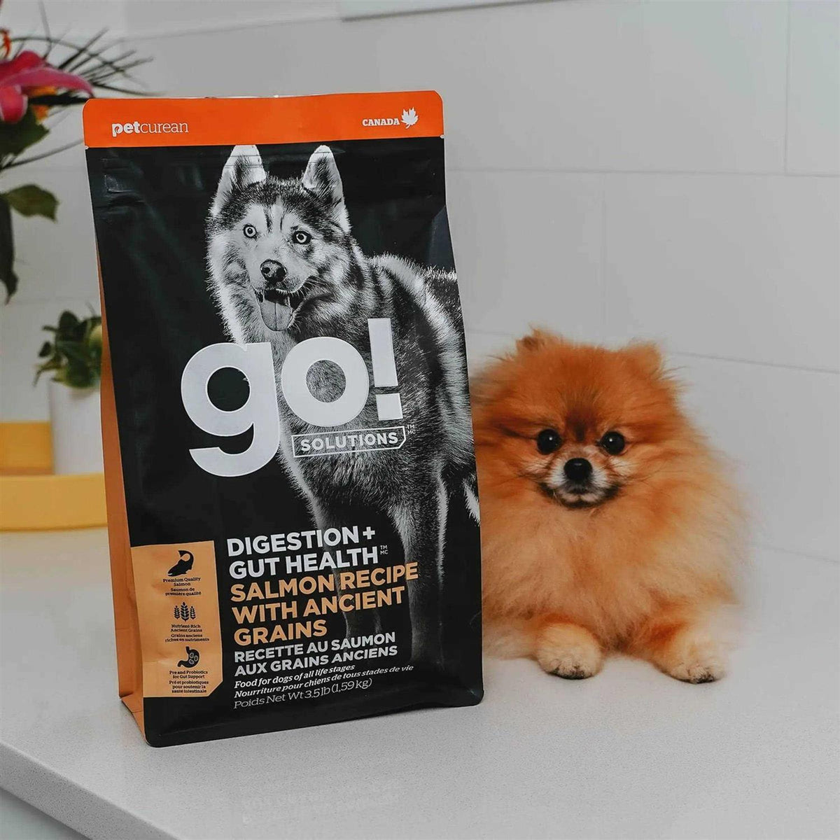 Salmon Recipe with Ancient Grains Dog Food U3088