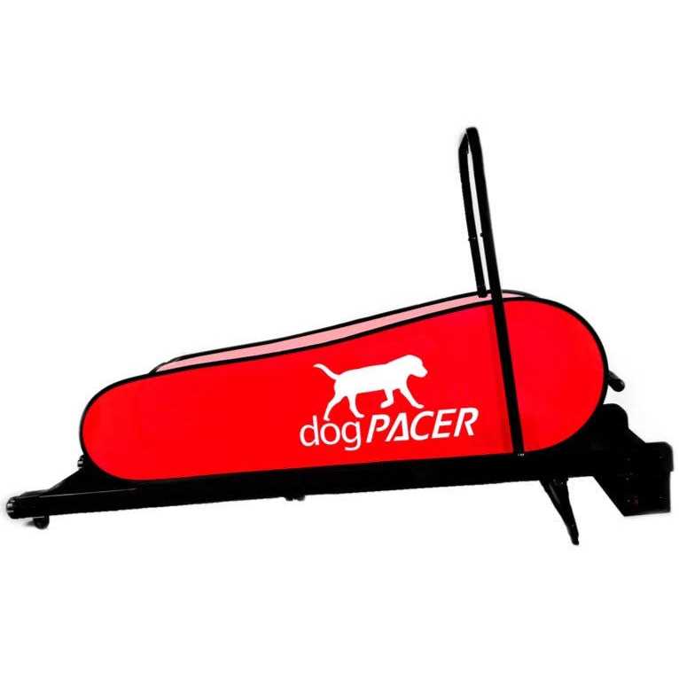 Dog Treadmill Z128743