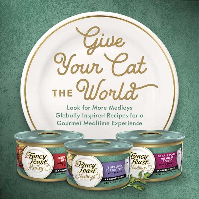 Wet Cat Food F92524