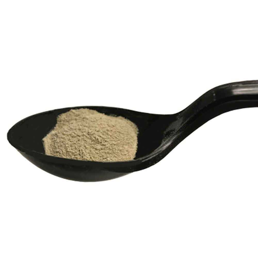 Probiotic Nutritional Supplement for Cats J782