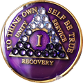 1 Year Purple Sobriety Chip C153
