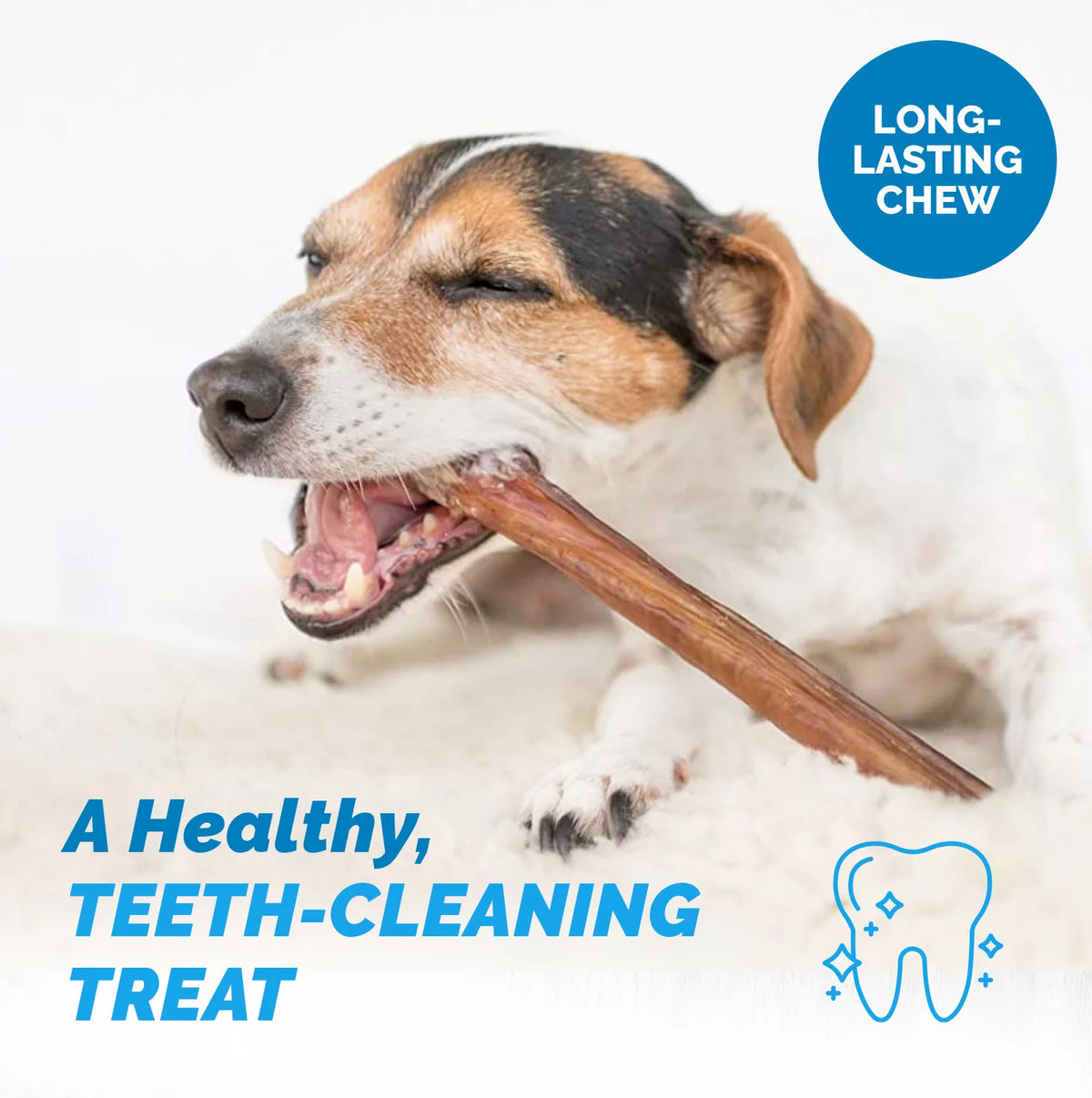 12 Inch Bully Stick for Dogs 1 Pound Bag Natural Beef Dental Chews T3905