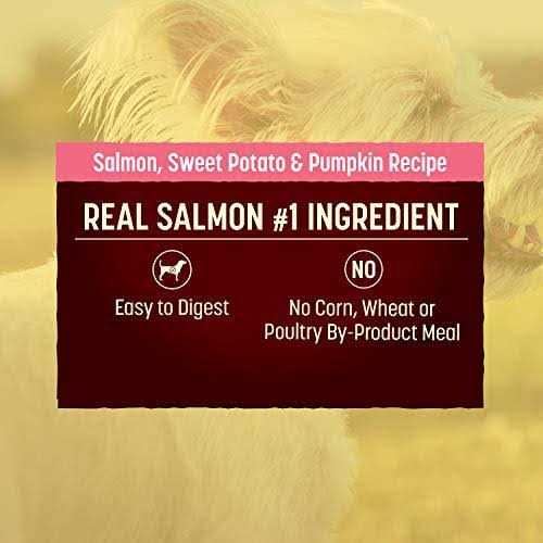 Grain Free Salmon Sweet Potato & Pumpkin Dry Dog Food I2847