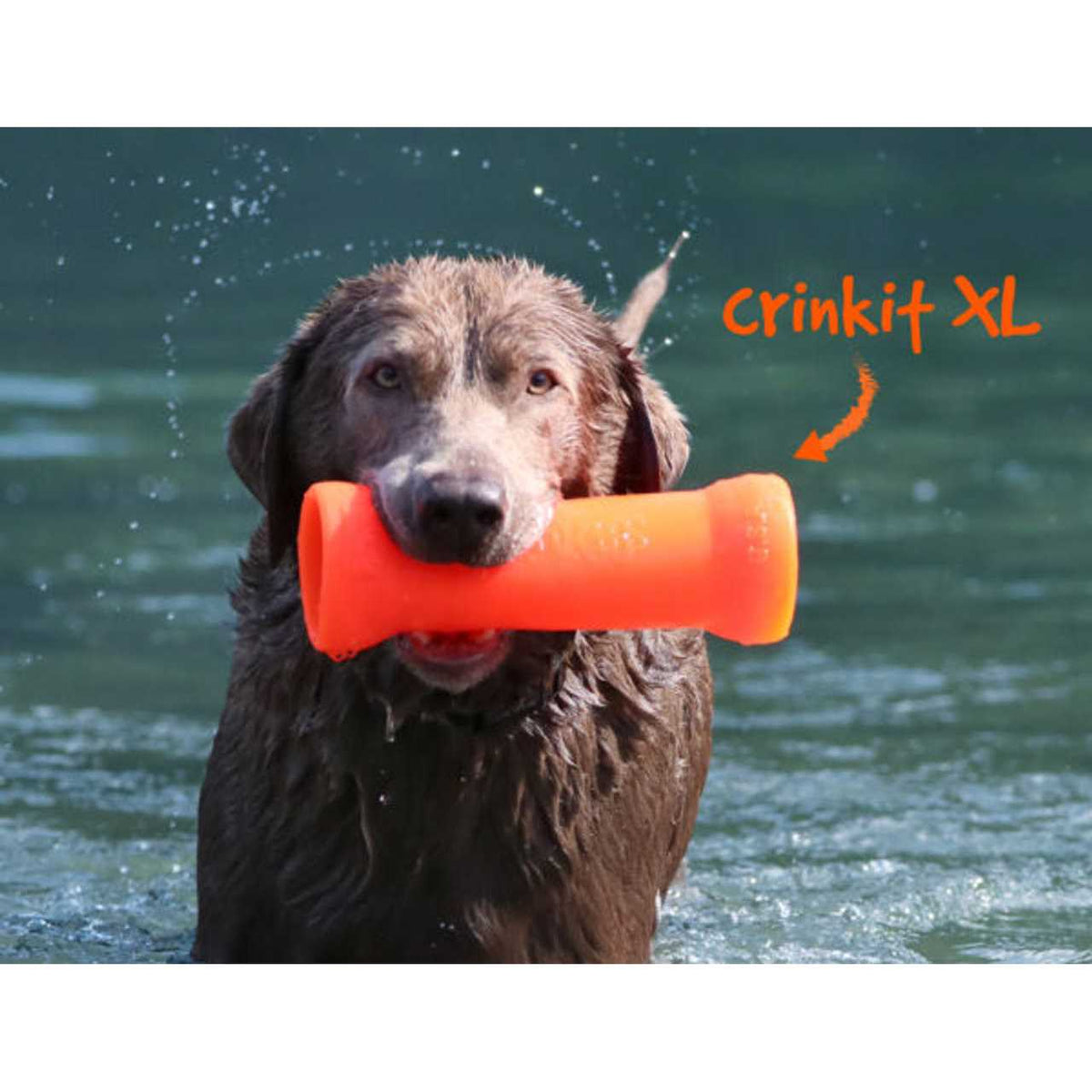 Crinkit Dog Toy F6010