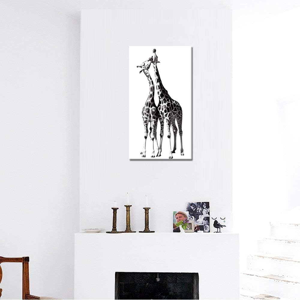 Black and White Giraffe Canvas Prints Gallery Wrapped Painting 20 x 36 Inch R955635
