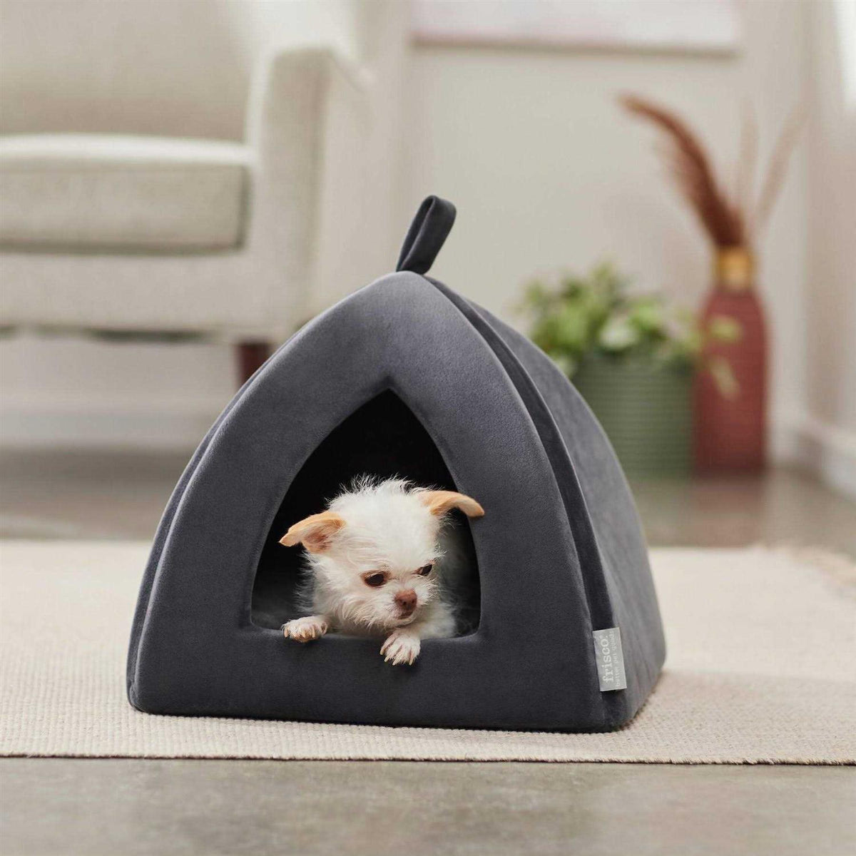 Covered Cat & Dog Bed B220565