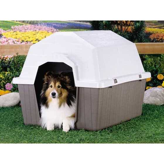 Pet Supplies C397965
