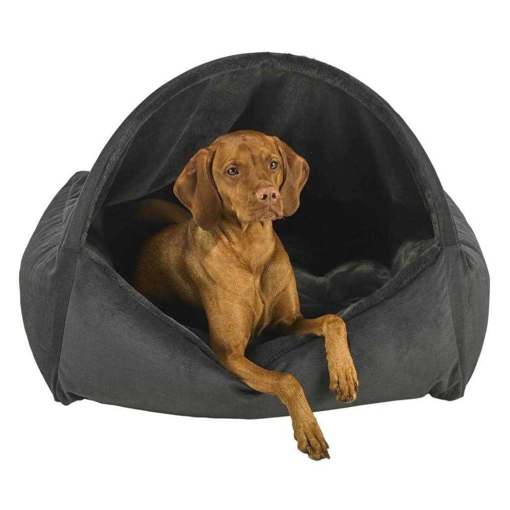 Canopy Dog Bed A62381