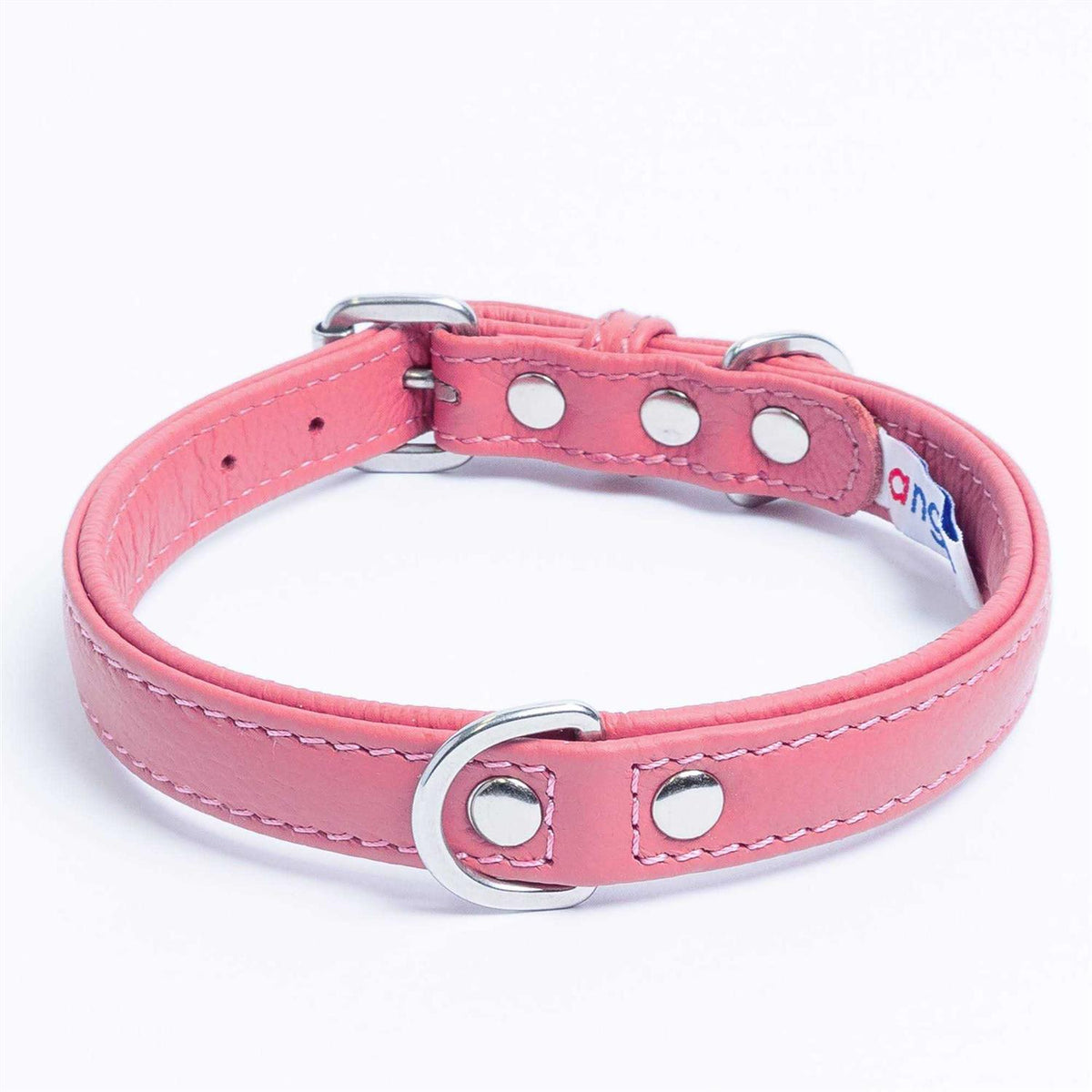 Dog Collar E867