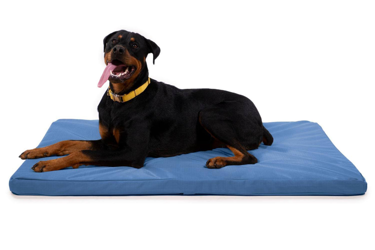 Chew Resistant Orthopedic Crate Pad D76860