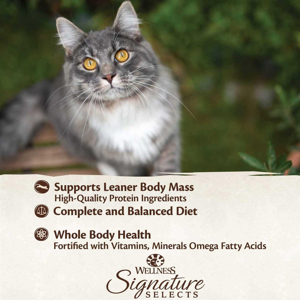 Natural Grain Free Tuna & Salmon Cat Food V765624